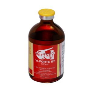 vi forte +b multivitamínico (100 ml)